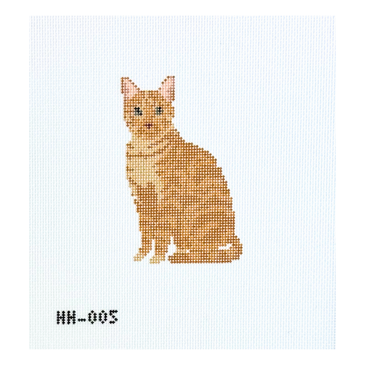 Cat - Orange