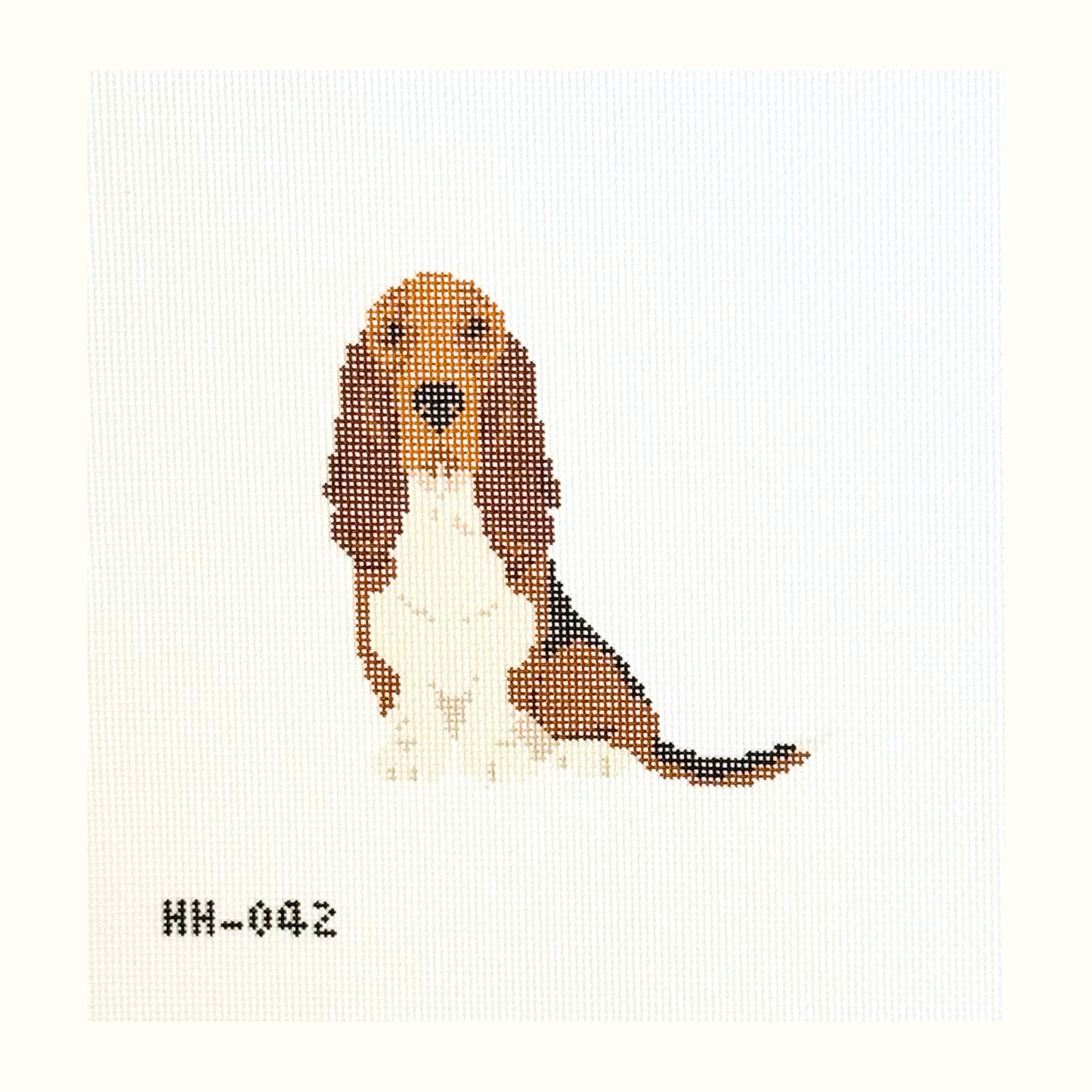 Basset Hound