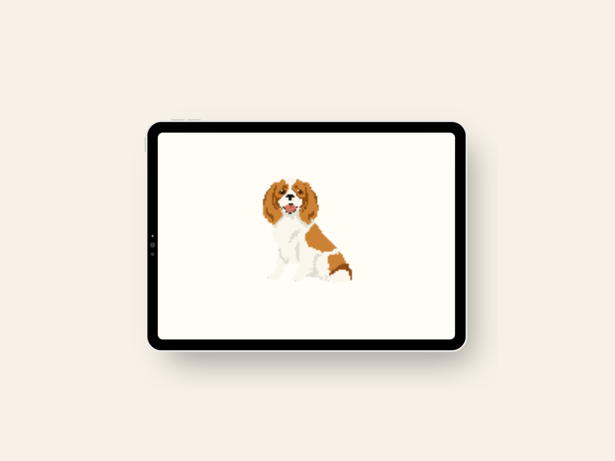 Cavalier King Charles Spaniel - Digital Download