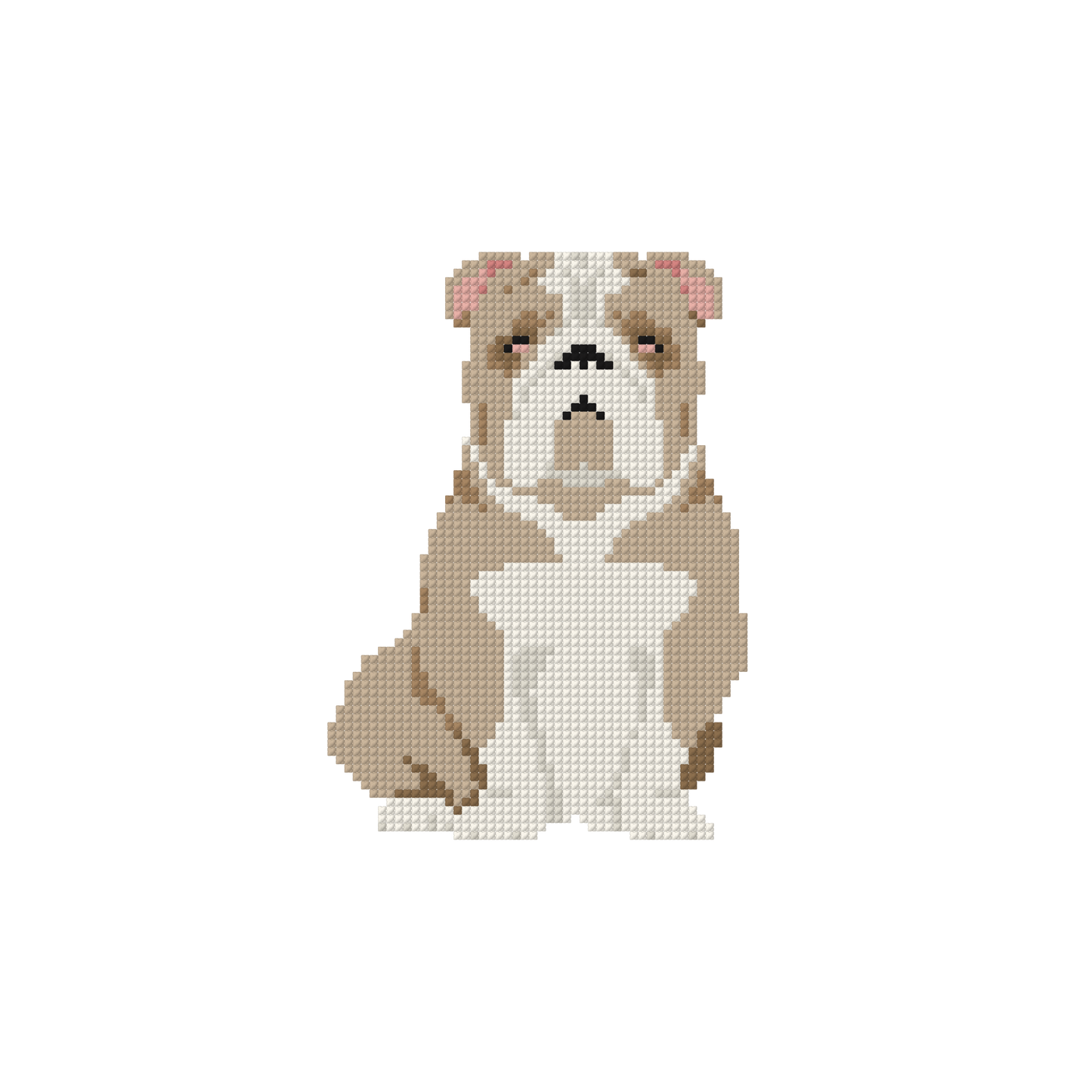 COMING SOON - Bulldog - Tan