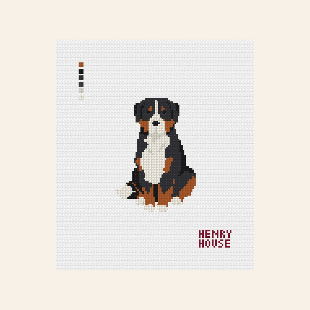 COMING SOON - Bernese Mountain Dog