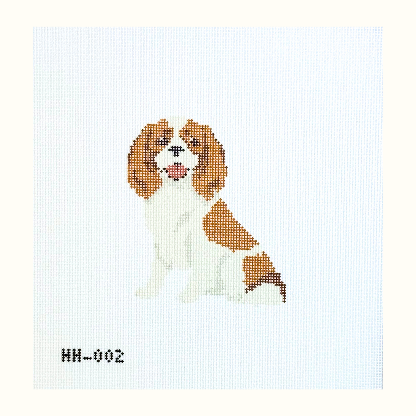 Cavalier King Charles Spaniel