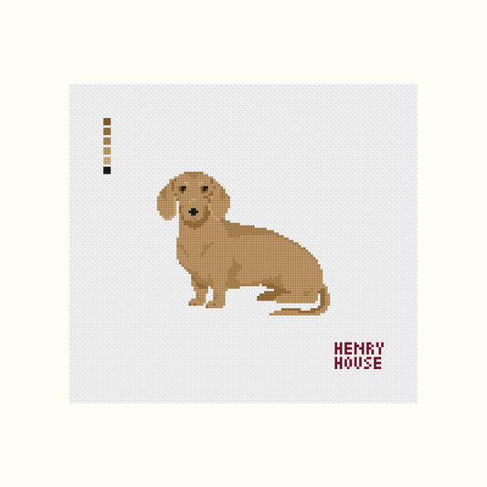 COMING SOON - Dachshund - Tan