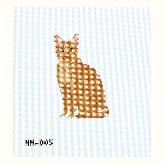 Cat - Orange