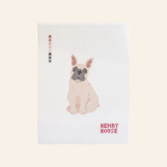 French Bulldog - Cream