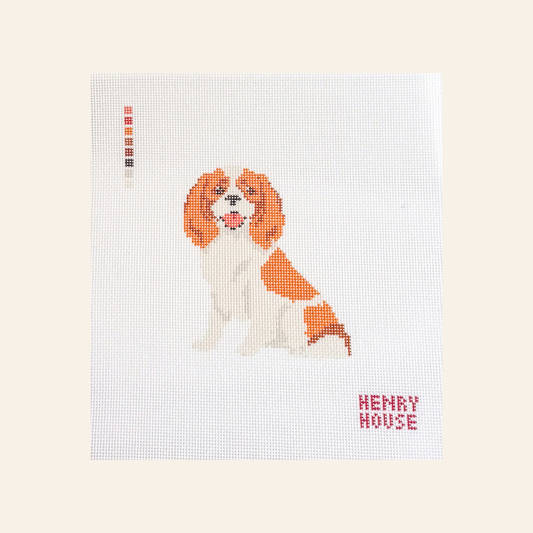 Cavalier King Charles Spaniel