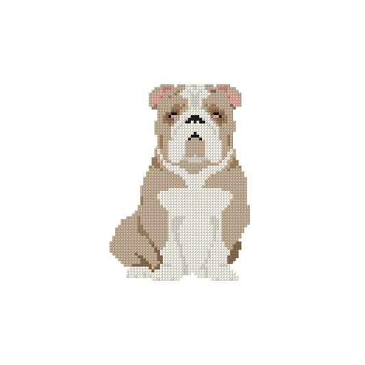 COMING SOON - Bulldog - Tan
