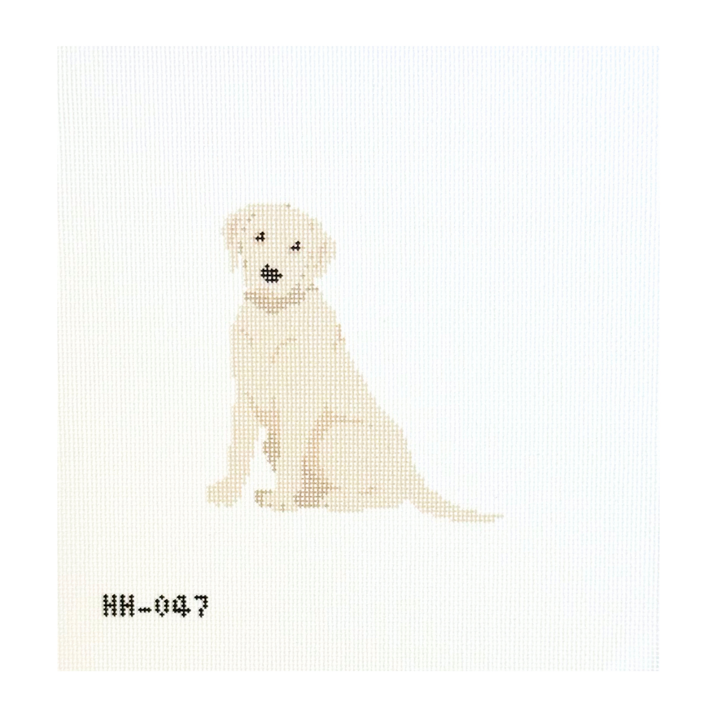 Labrador - Yellow