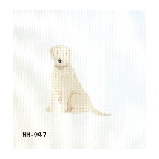 Labrador - Yellow