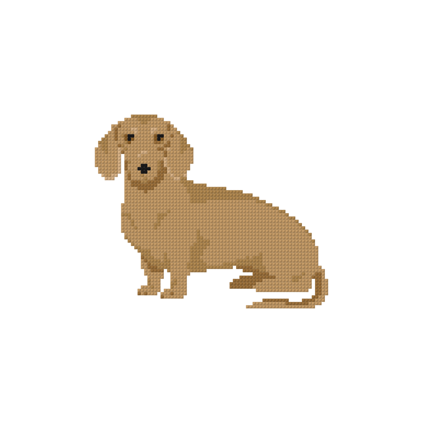 COMING SOON - Dachshund - Tan