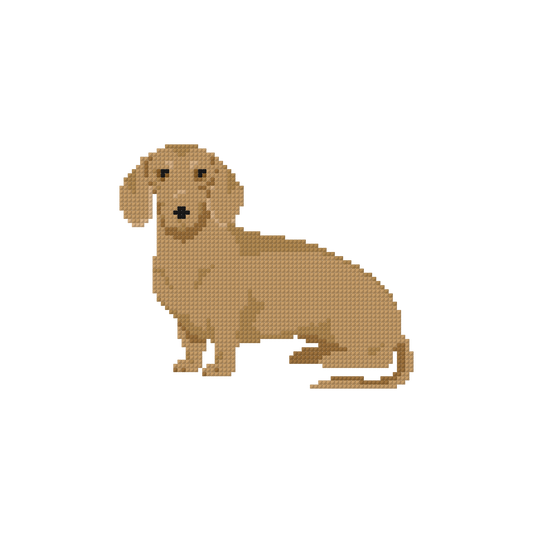 COMING SOON - Dachshund - Tan