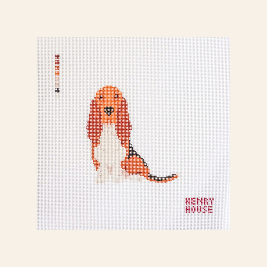 Basset Hound