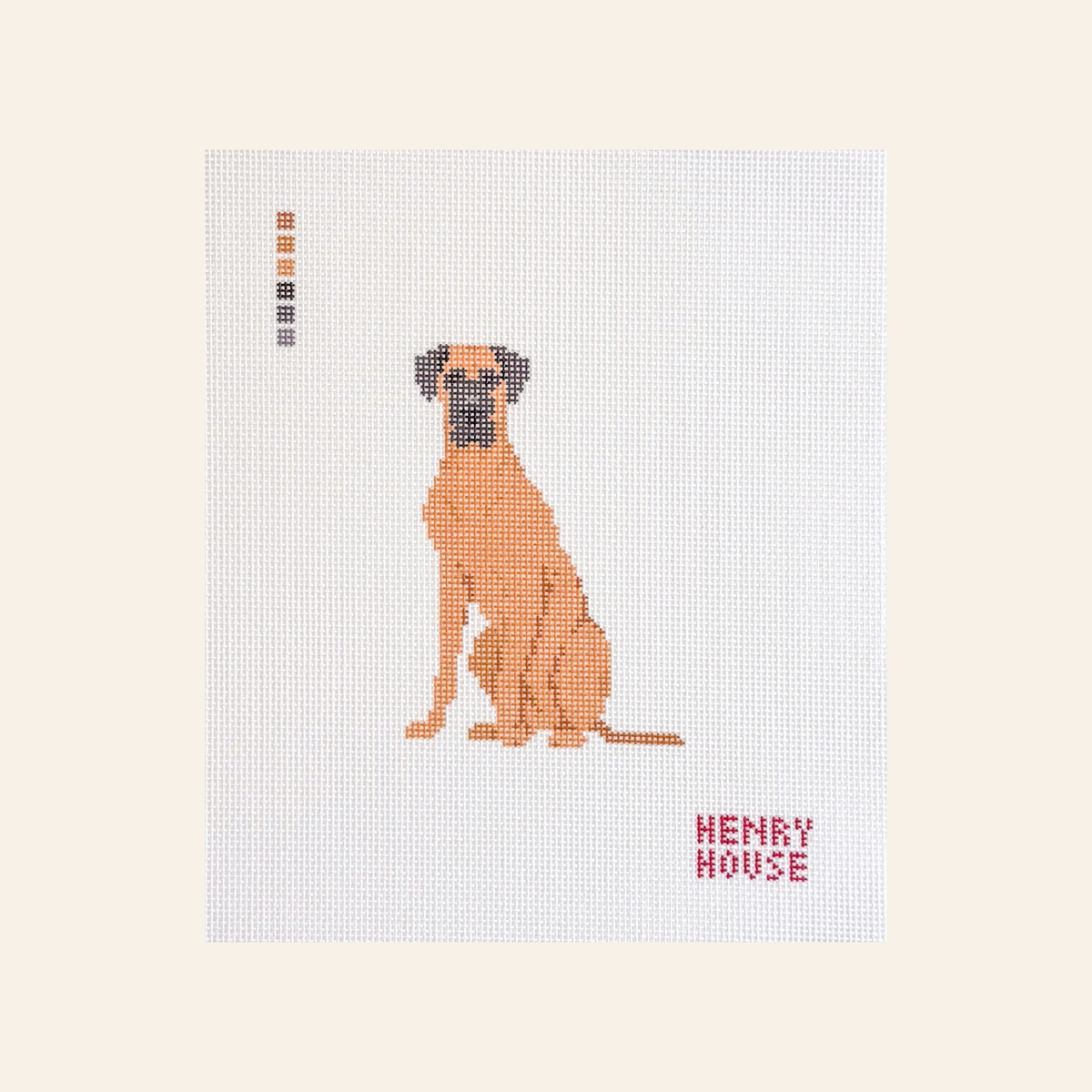 Great Dane - Tan