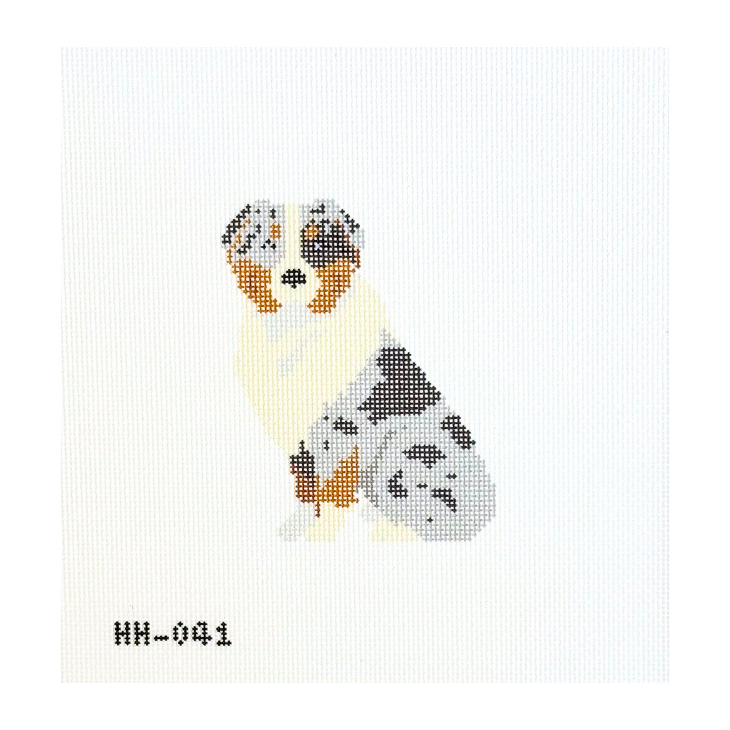 Australian Shepherd
