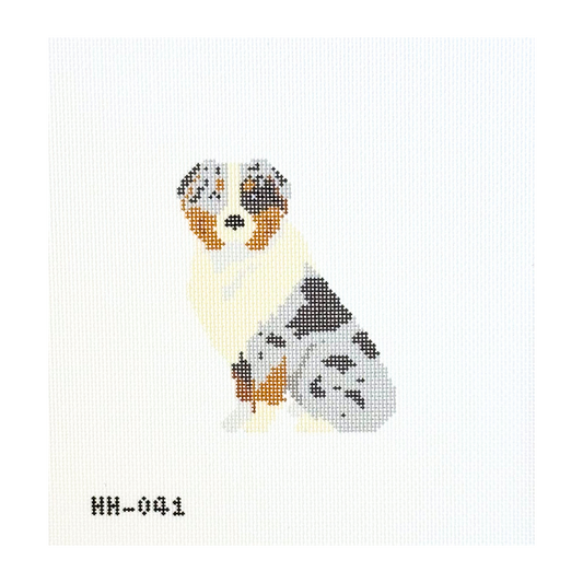 Australian Shepherd