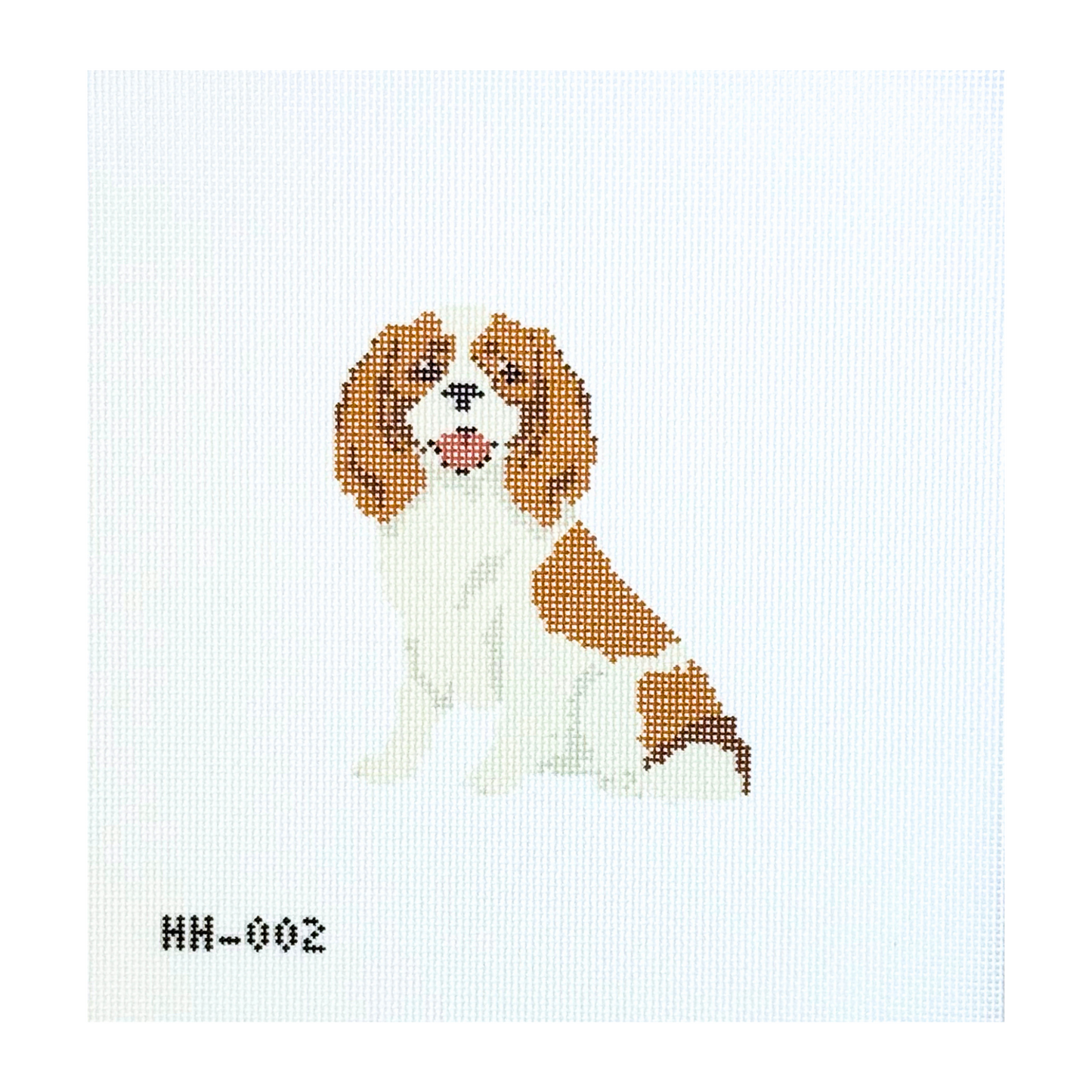 Cavalier King Charles Spaniel