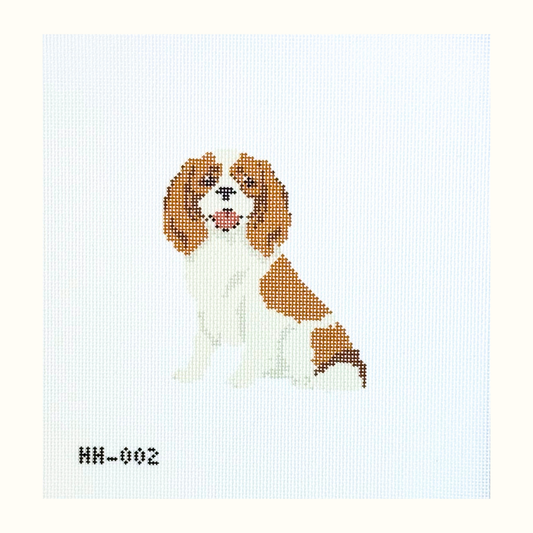 Cavalier King Charles Spaniel